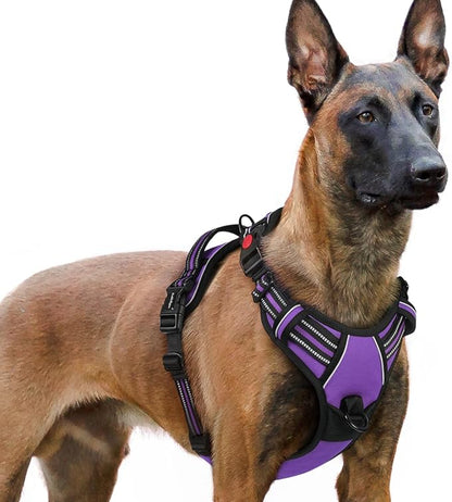 rabbitgoo Dog Harness for Large, No Pull Pet Harness with 3 Buckles, Adjustable Soft Padded Dog Vest with Instant Control Handle, Easy Walking Reflective Pet Vest for Extra Large Dogs, Purple, XL