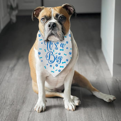 It's a Boy Dog Bandana Gender Reveal Dog