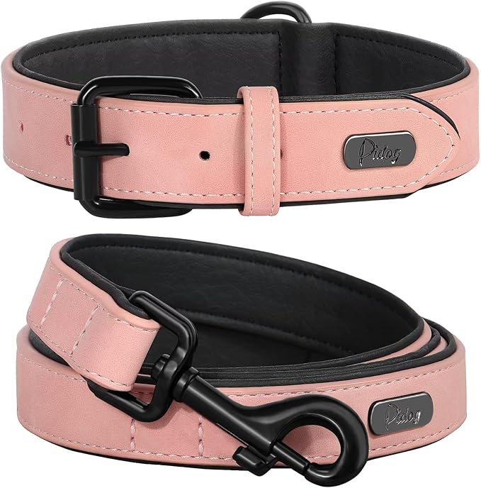 Didog Soft Padded Leather Dog Collar and Leash Set 4FT Leather