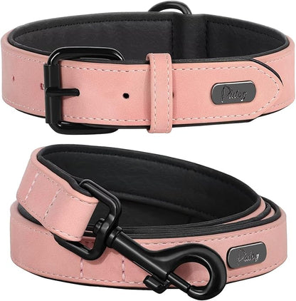 Didog Soft Padded Leather Dog Collar and Leash Set 4FT Leather