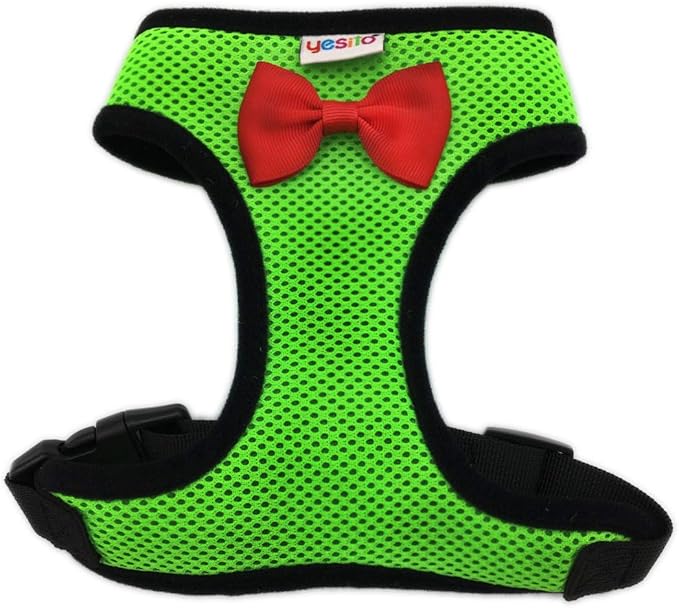 Chicken Harness Hen Size With6-foot Matching Belt - Adjustable, Elastic, Comfortable, Breathable, Small Size, Suitable for Chicken, Duck or Goose Suitable for Weight About 2.3-3.8Pounds, Green