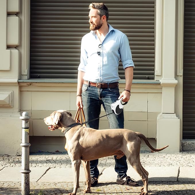 Retractable Dog Leash with Flashlight 16ft Walking Leash for Dogs up to 77lbs 360° Tangle-Free