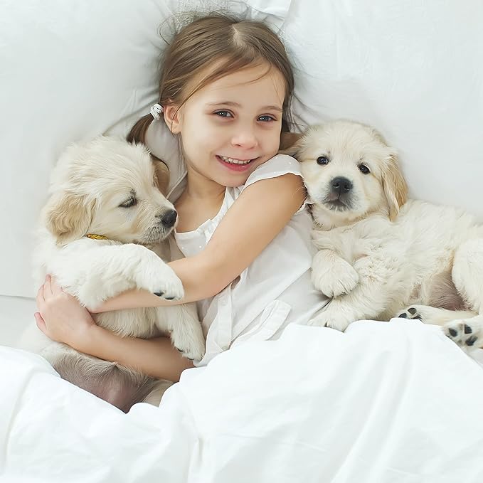 PETMAKER Waterproof Dog Blanket 30x40-Inch Reversible