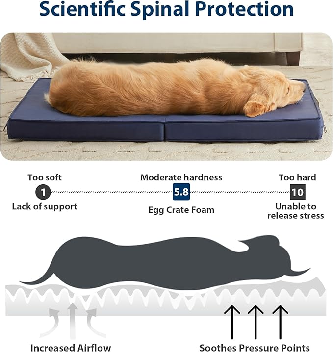 RRPETHOME Waterproof Outdoor Dog Beds Large Sized Dog