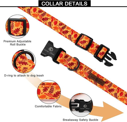 Lionet Paws Orange Dogs Collar Fall 8-12 inches