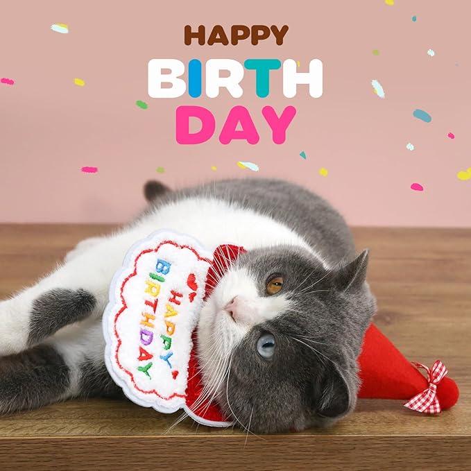 Dog Cat Birthday Party Supplies Outfit Bandana Bib