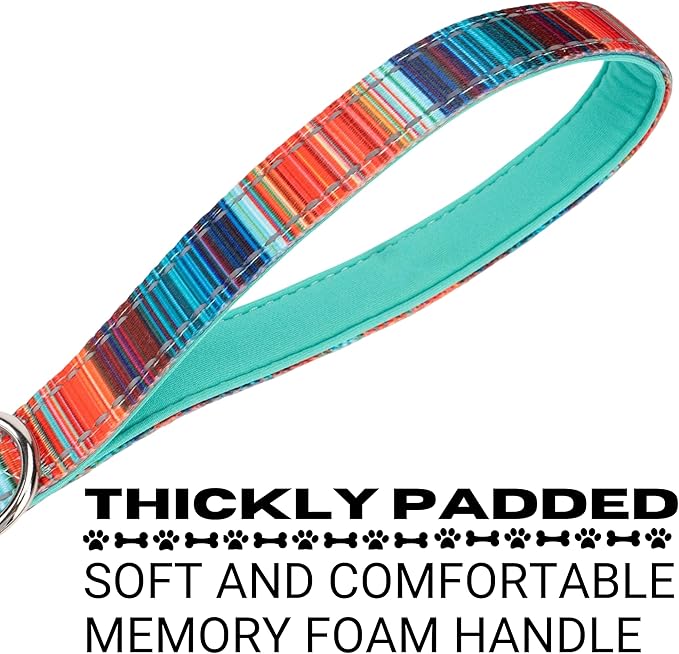 EcoBark Dog Leash - Soft & Reflective Comfort Leash with Padded Handle - Strong Durable Heavy Duty - Training and Pulling for Small, Medium or Large Dogs (Multicolor Stripe)