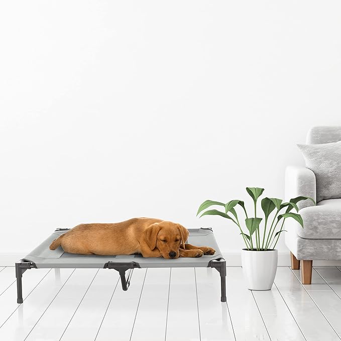Elevated Dog Bed 36x29.75-Inch Portable 80lbs by