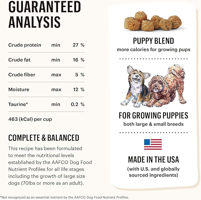 The Honest Kitchen Whole Food Clusters Puppy Grain Free Chicken Dry Dog Food, 1 lb Bag