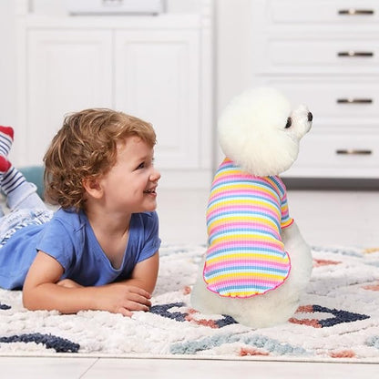 Small Medium Dog Clothes Rainbow Striped Dog Shirts Stretchable Long Sleeve Cat T-Shirt Pet Outfits for Chihuahua Yorkie Teddy (Pink Edge