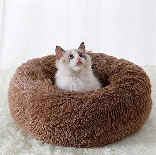 Cat Beds for Indoor Cats