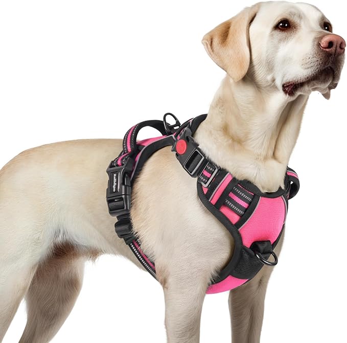 rabbitgoo Dog Harness for Large, No Pull Pet Harness with 3 Buckles, Adjustable Soft Padded Dog Vest with Instant Control Handle, Easy Walking Reflective Pet Vest for Large Dogs, Rose Pink, L