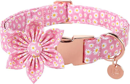 Summer Dog Collar with Flower 16-26in