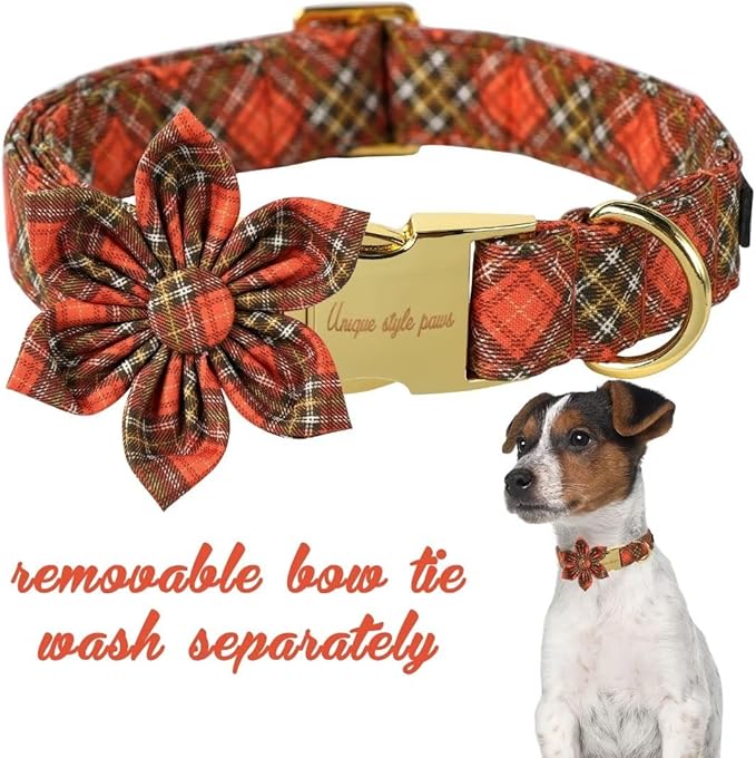 Unique Style Paws Cotton Dog Collar with Bow
