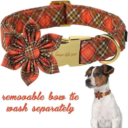 Unique Style Paws Cotton Dog Collar with Bow