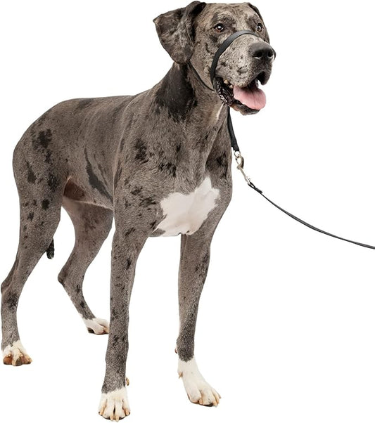 PetSafe Gentle Leader No-Pull Dog Headcollar
