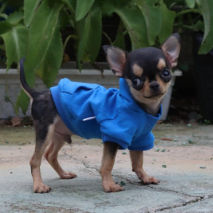 LOPHIPETS Lightweight Cotton Hoodie for Small Dogs – Hooded Sweatshirt for Chihuahuas Puppy and Toy Breeds-Blue/XXS