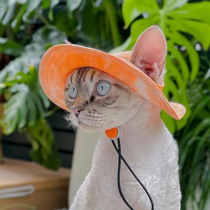 Pet hat with Ear Holes Sunscreen Baseball Cap Suitable for Small and Medium-Sized Dogs Outdoor Climbing hat in Summer Pet Products (Small