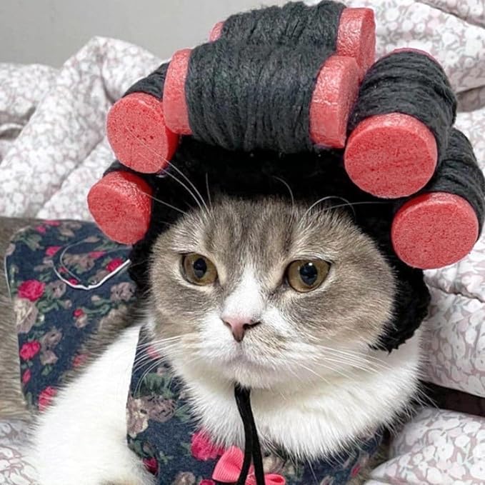 Cat Wig Funny Cute Cat Costume Hat Hair Roller Accessories Dress Up Clothing Festival Party (Bun)