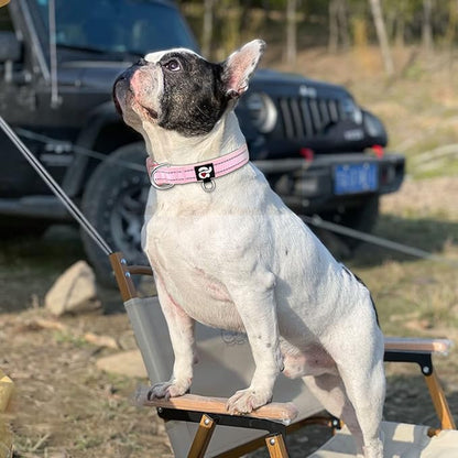 azuza Reflective Dog Collar