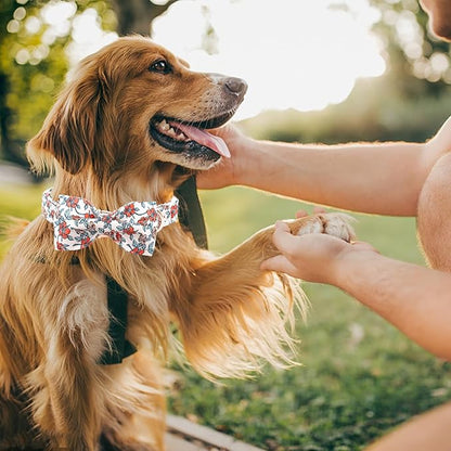 Lionheart glory Dog Collar Fall Dog Collars with Bow Tie Flower Print Dog Collar Bow Female Male Pet Collar Dogs Collar Bows Duty Adjustable Dog Bow Collars for Small Dogs