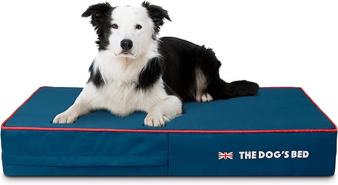 The Dog’s Bed Orthopedic Memory Foam Dog Bed 40x25, Pain
