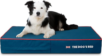 The Dog’s Bed Orthopedic Memory Foam Dog Bed 40x25, Pain
