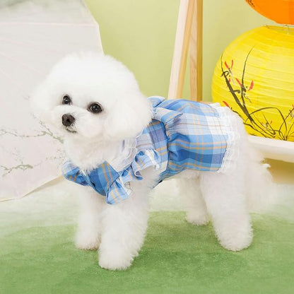 Plaid Dog Dress for Small Dogs Cats Bowknot Girl Dog Clothes with D-Ring Cute Princess Pet Puppy Dresses Spring Summer Pet Outfits for Chihuahua Yorkies Shih Tzu（Blue