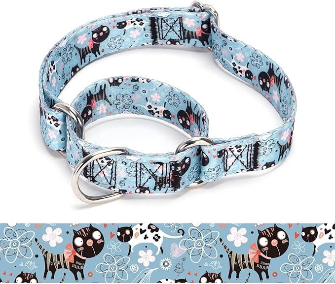 Martingale Dog Collars - Flower Multicolor Cute Patterns, Adjustable Nylon Training Dog Collar Suitable for Boy and Girl Dogs Medium Large Dogs (10, L)