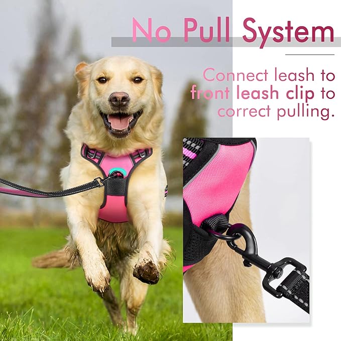 rabbitgoo Dog Harness, No-Pull Pet Harness with 2 Leash Clips, Adjustable Soft Padded Dog Vest, Reflective No-Choke Pet Oxford Vest with Easy Control Handle for Small Dogs, Hot Pink, S