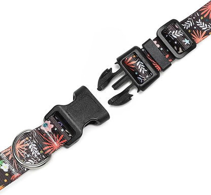 Adjustable Dog Collar with Patterns