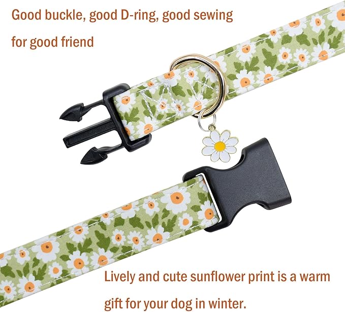 Flower Patterns Dog Collar with Accessories