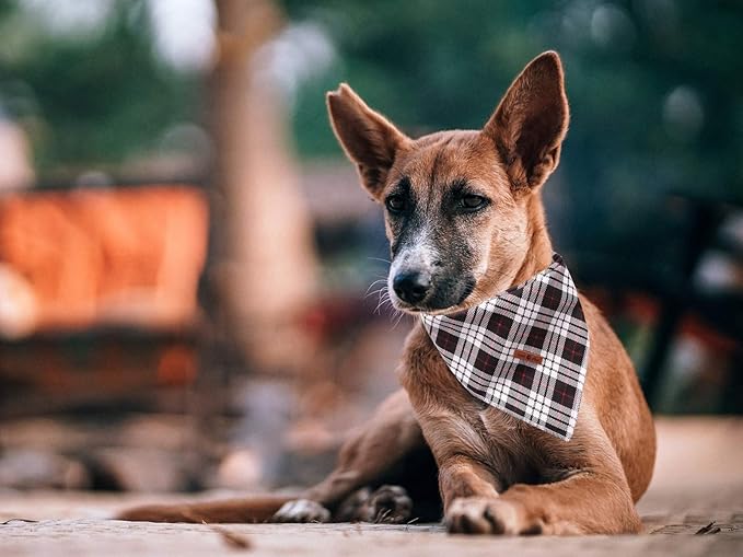 Lionet Paws Dog Bandana Washable Cotton Handkerchief Scarf