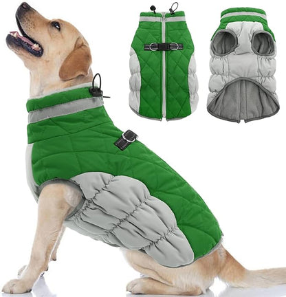Dog Coat