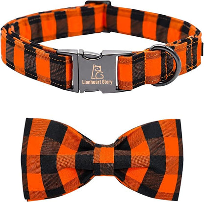 Lionheart glory Dog Collar Fall Dog Collars