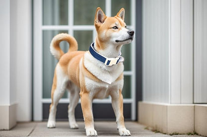 Breathable Cotton Dog Collar