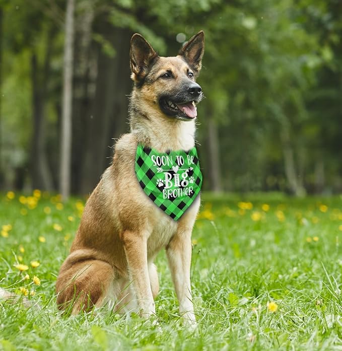 Dog Bandana (C24)