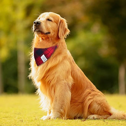 E-Clover Dog Bandanas Girl & Matching Scrunchie Set