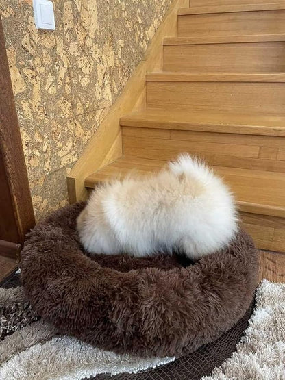 Geizire Cat Bed Dog Bed for Cats Bed(24'', Coffee)