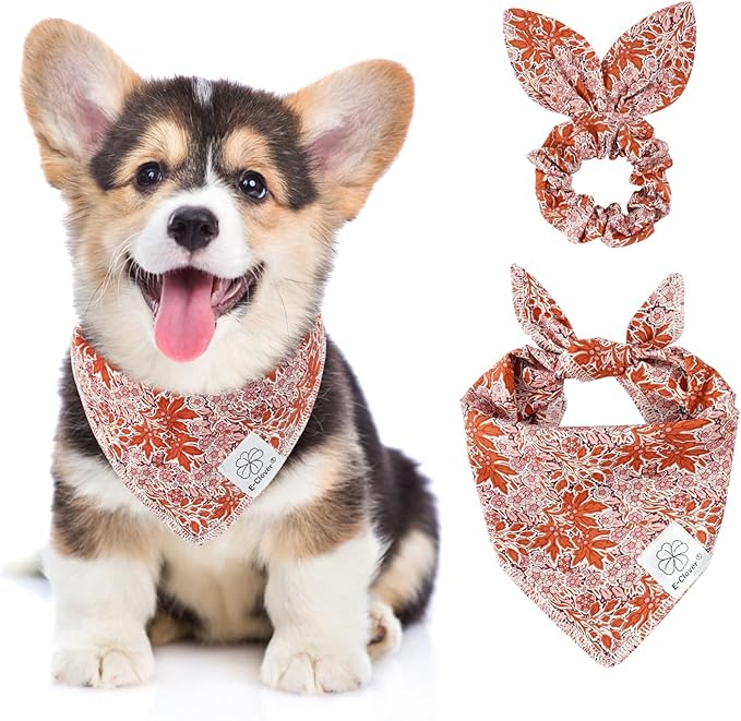 E-Clover Fall Dog Bandana & Matching Scrunchie-Leaves Dog