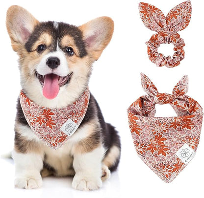 E-Clover Fall Dog Bandana & Matching Scrunchie-Leaves Dog