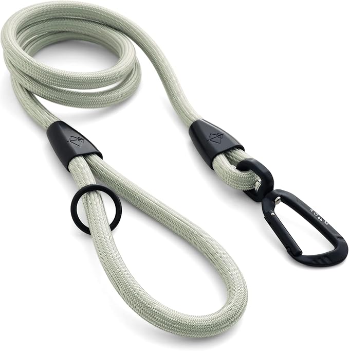 MADE TO ROAM Premium Everyday Leash 6ft (Metal