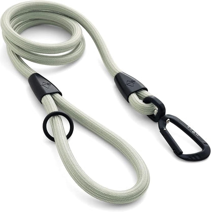MADE TO ROAM Premium Everyday Leash 6ft (Metal
