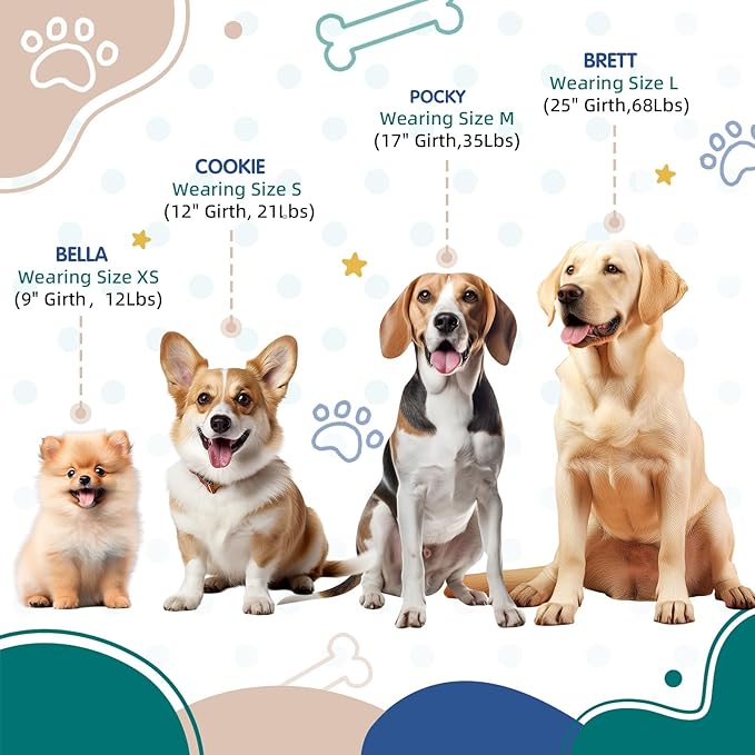 Small Dog Harness 4/5''W x 16-20''