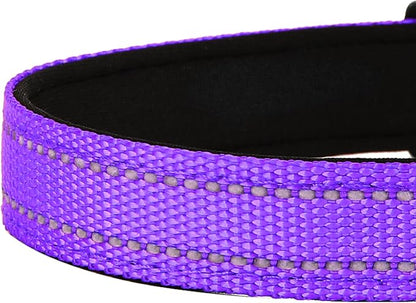 Reflective Dog Collar