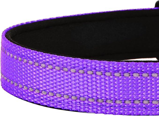 Reflective Dog Collar