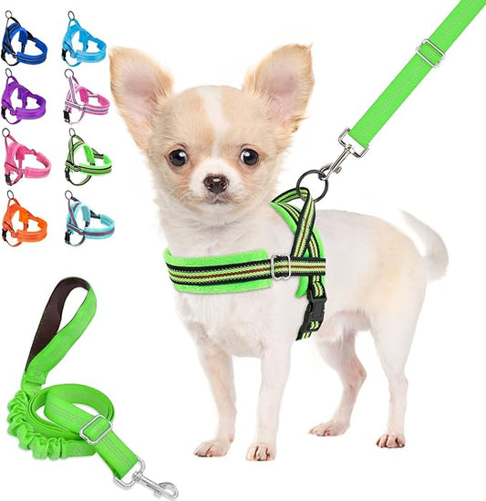 Lukovee Dog Harness and Leash Set, Soft Padded Small Dog Harness, Neck & Chest Adjustable Reflective Vest Puppy Harness with 4ft Lightweight Anti-Twist Dog Leash for Small Dogs (XX-Small, Green)