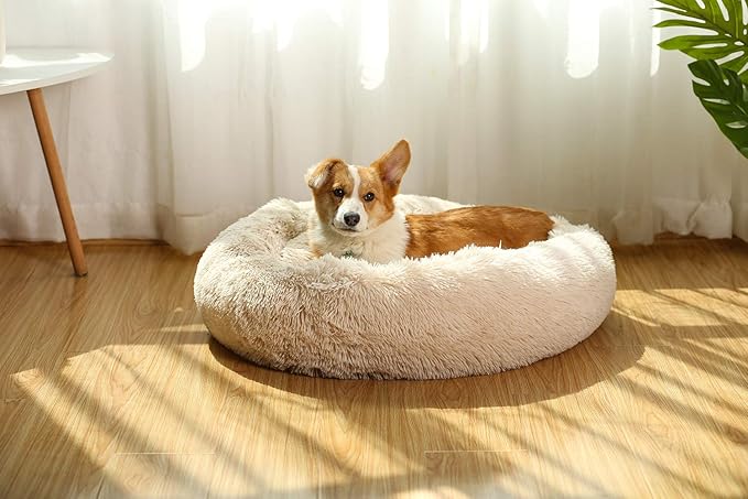 Donut Dog Beds for Medium Dogs