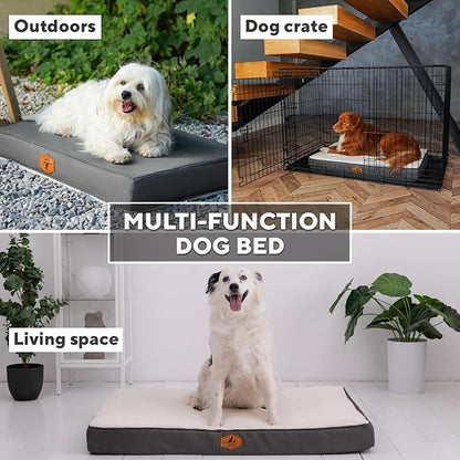 Orthopedic Dog Bed for Small Dogs