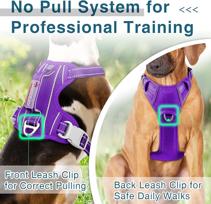 BARKBAY Dog Harness No Pull with ID Tag Pocket - Heavy Duty, Reflective, Easy Control for Large Dogs (Purple,L)